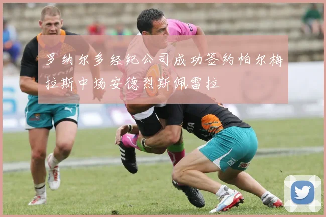 罗纳尔多经纪公司成功签约帕尔梅拉斯中场安德烈斯佩雷拉
