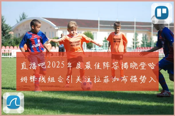 直播吧2025年度最佳阵容揭晓登哈姆锋线组合引关注拉菲加布强势入选
