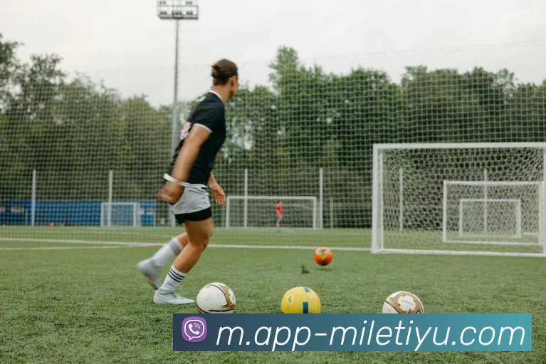 米乐体育平台生态图